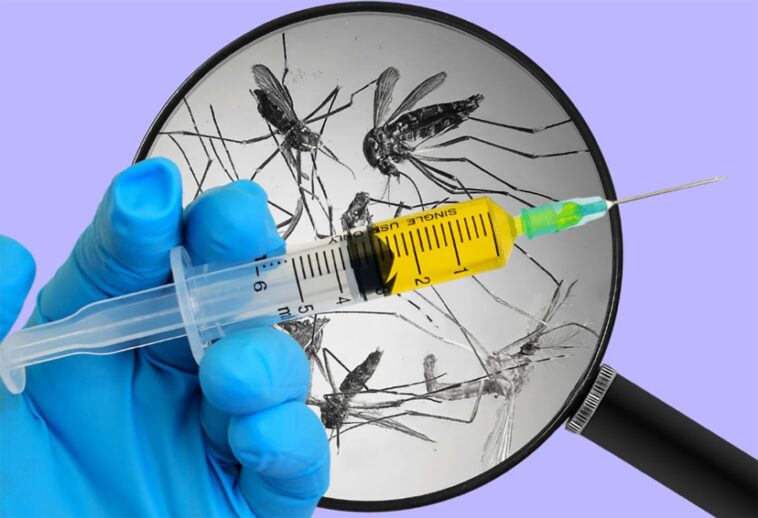 Malaria Symptom Checker Quick Quiz to Test Your Risk Level